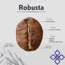 robusta_11zon